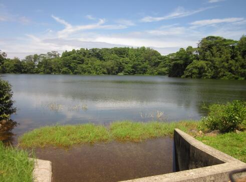 1506176335136545.jpg 下載 (13).jpg