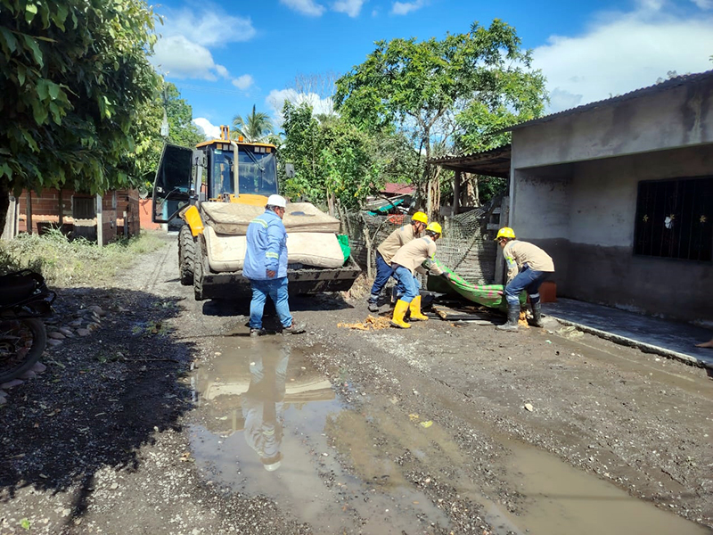 救災小組道路清障 (2).jpg